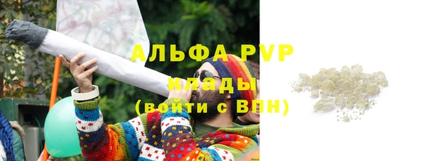 гашик Аркадак