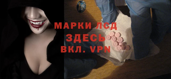 гашик Аркадак