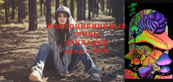 гашик Аркадак