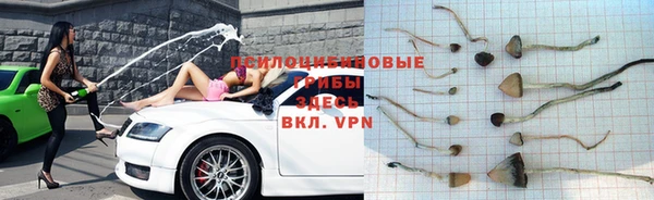 экстази Арсеньев
