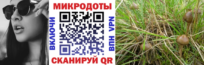 купить сайты Усмань Псилоцибиновые грибы ЛСД